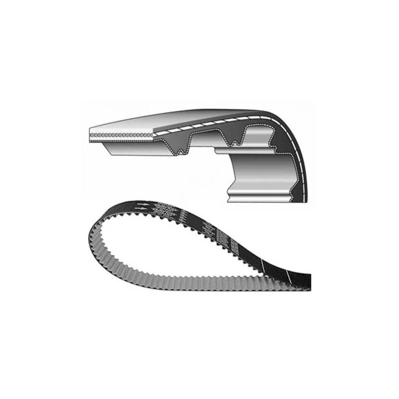 Courroie de distribution DAYCO standard Courroie de distribution DAYCO standard