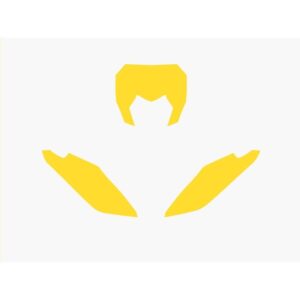 Fonds de plaque BLACKBIRD jaune Fantic XX