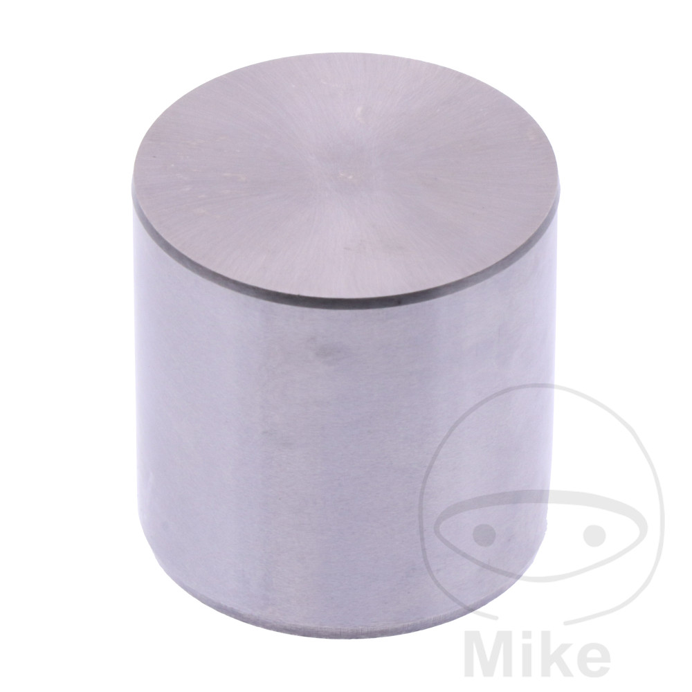 Soupape 26.10 MM 2.55 (Pièce origine OEM LF-7471986
