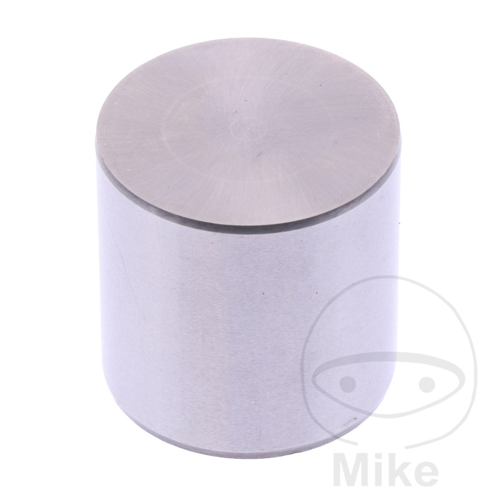 Soupape 26.10 MM 2.95 (Pièce origine OEM LF-7471994