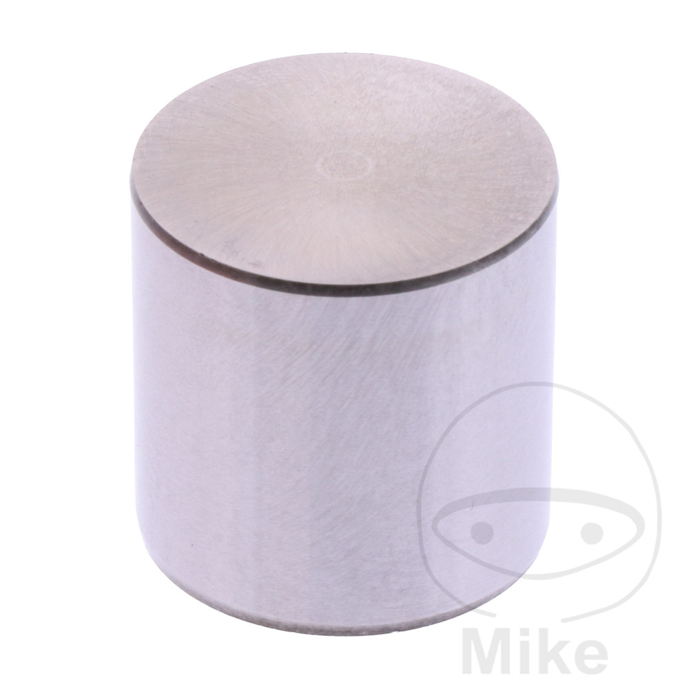 Soupape 26.10 MM 3.05 (Pièce origine OEM LF-7471996