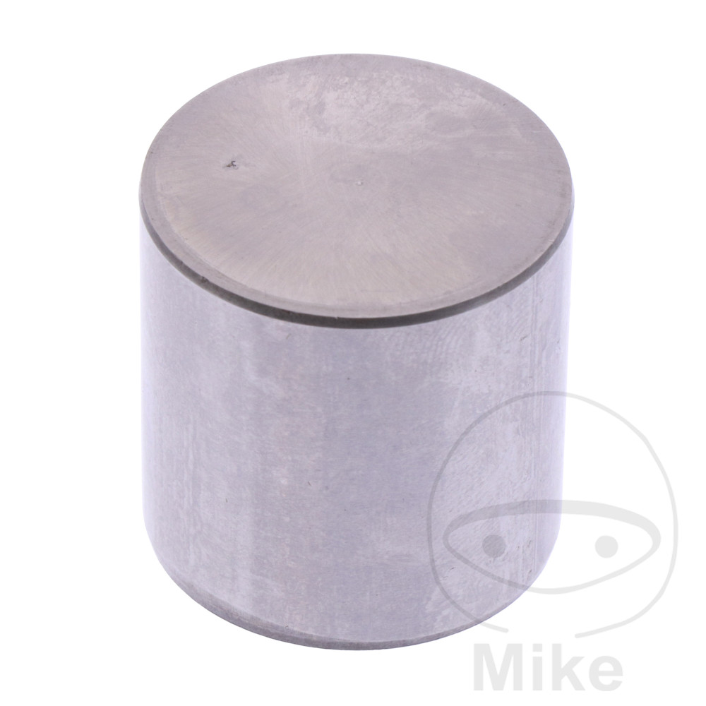 Soupape 26.10 MM 3.15 (Pièce origine OEM LF-7471998