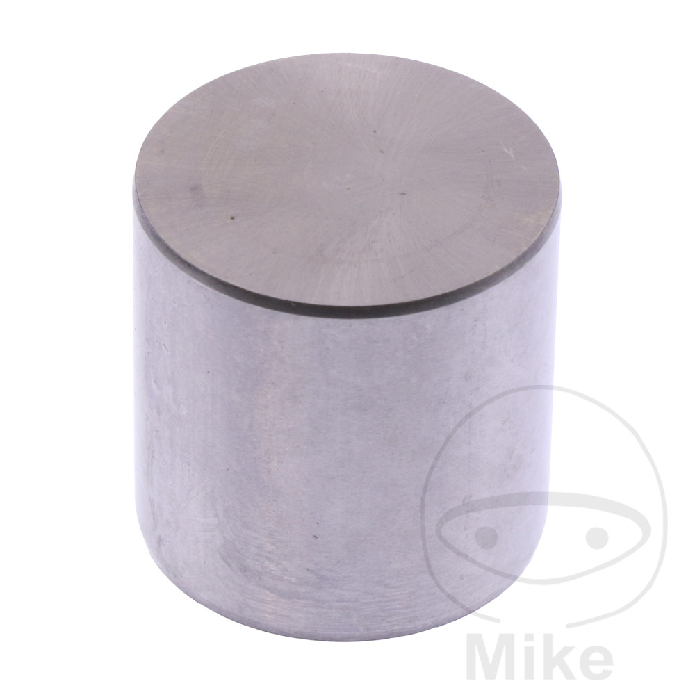 Soupape 26.10 MM 3.20 (Pièce origine OEM LF-7471999