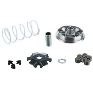 Variateur Malossi