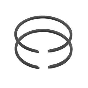 Segment P2R