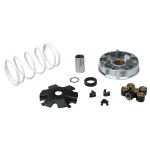 Variateur Malossi