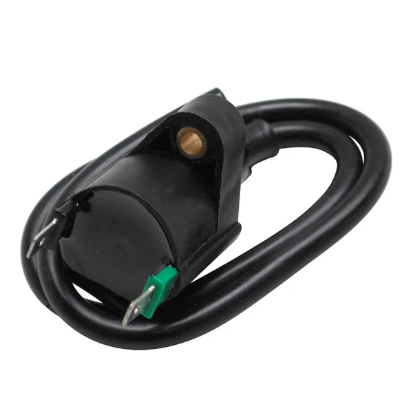 Bobine d'allumage P2R Bobine d'allumage P2R