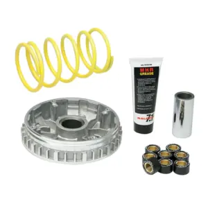 Variateur Malossi