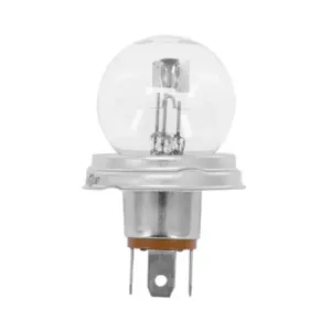 Ampoule Flosser