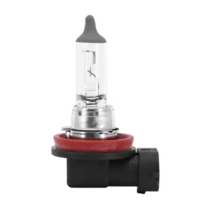 Ampoule Flosser