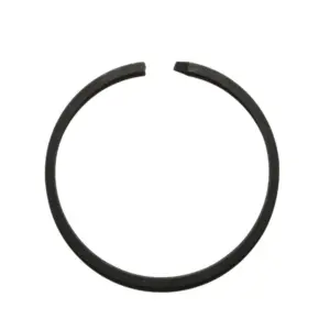 Segment P2R