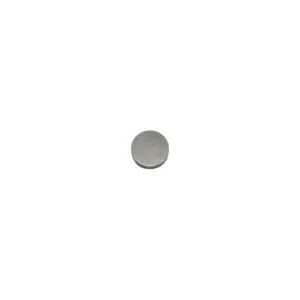 Pastille de soupape P2R