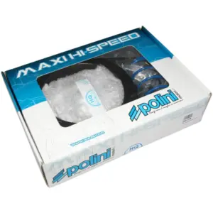 Variateur Polini