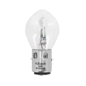 Ampoule Flosser