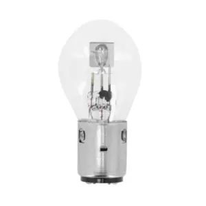 Ampoule Flosser
