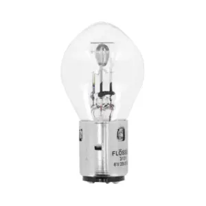 Ampoule Flosser