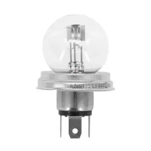 Ampoule Flosser