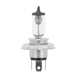 Ampoule Flosser