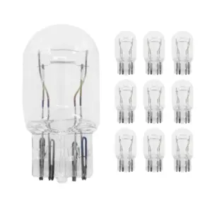 Ampoule Flosser