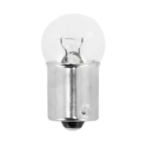 Ampoule Flosser