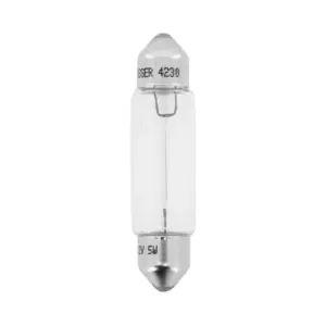 Ampoule Flosser