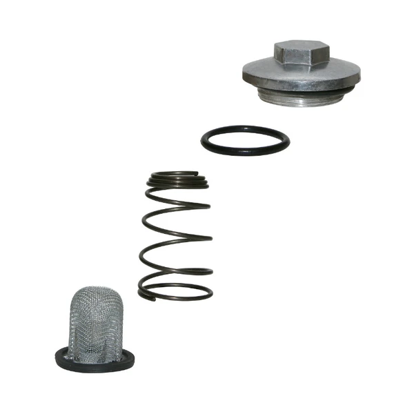 Bouchon de vidange P2R Bouchon de vidange P2R
