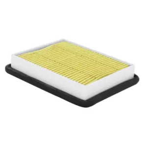 Filtre à air P2R