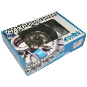 Variateur Polini