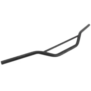 Guidon Buzzetti