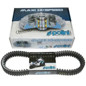 Variateur Polini