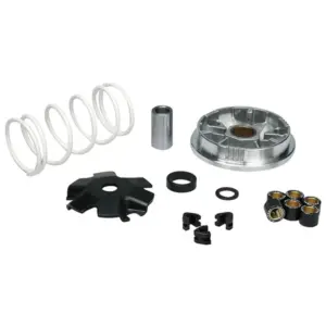 Variateur Malossi