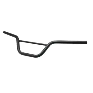 Guidon P2R