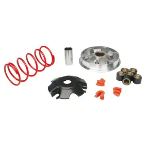 Variateur Malossi