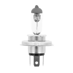 Ampoule Flosser
