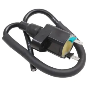 Bobine d'allumage P2R
