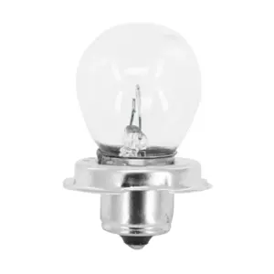 Ampoule Flosser