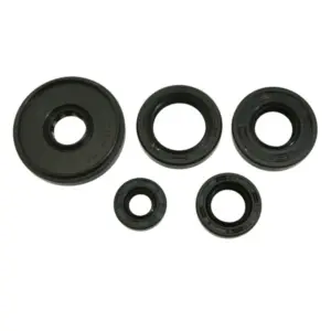 Joint spi moteur P2R