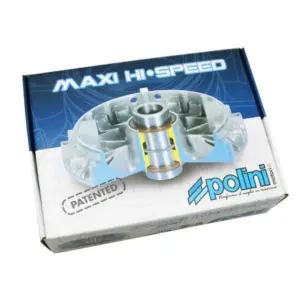 Variateur Polini