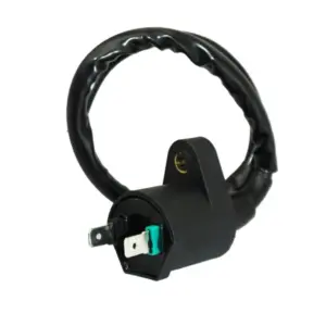 Bobine d'allumage P2R