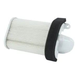 Filtre à air P2R