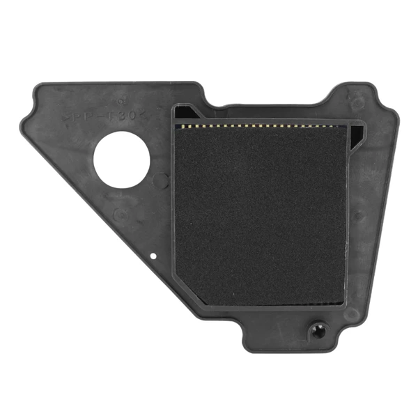 Filtre à air P2R Filtre à air P2R – Image 2