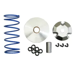 Variateur Polini