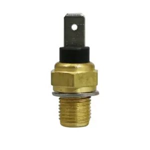 Sonde de température Malossi