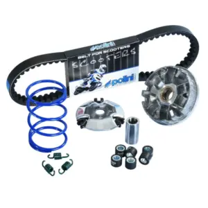 Variateur Polini