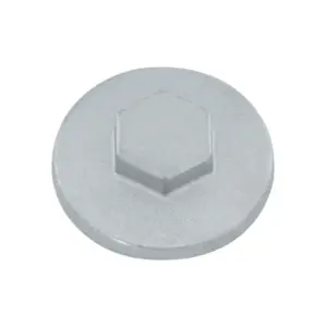 Bouchon de vidange P2R
