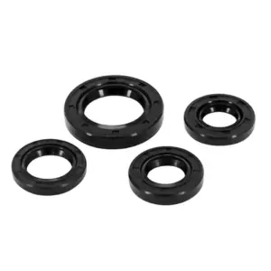 Joint spi moteur P2R