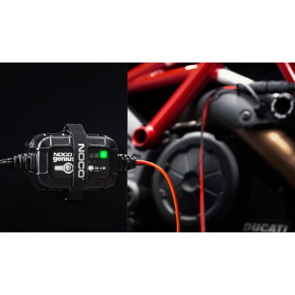Chargeur + maintien de charge P2R Chargeur + maintien de charge P2R – Image 4
