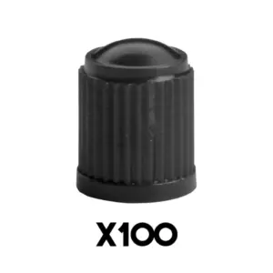 Bouchon de valve P2R