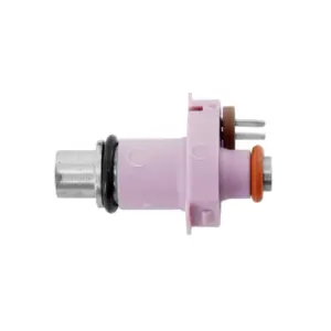 Injecteur P2R