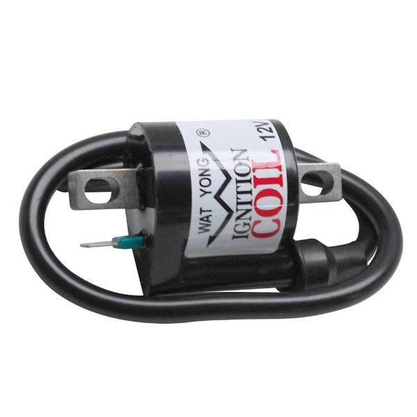 Bobine d'allumage P2R Bobine d'allumage P2R